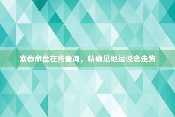 紫薇命盘在线查询，精确见地运说念走势
